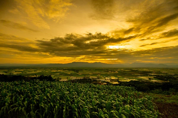 View of the sky in twilight at sunset time mountains.The sky in twilight at sunset time background over Rice fields.