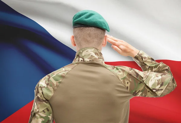 国家军事力量与背景概念系列-捷克共和国国旗
