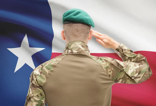 Soldier saluting to USA state flag conceptual series - Texas