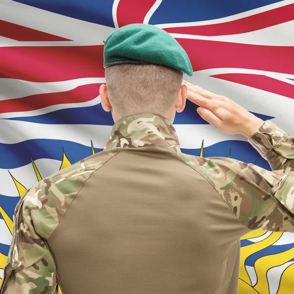 Soldier saluting to Canadial province flag conceptual series - B