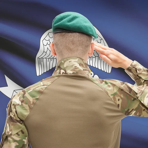 Soldier saluting to USA state flag conceptual series - Louisiana