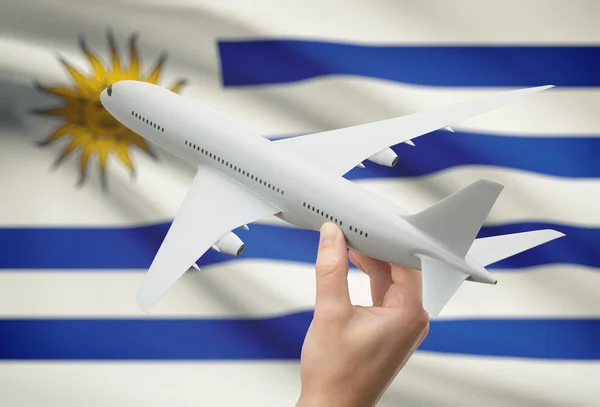 Airplane in hand with flag on background - Uruguay