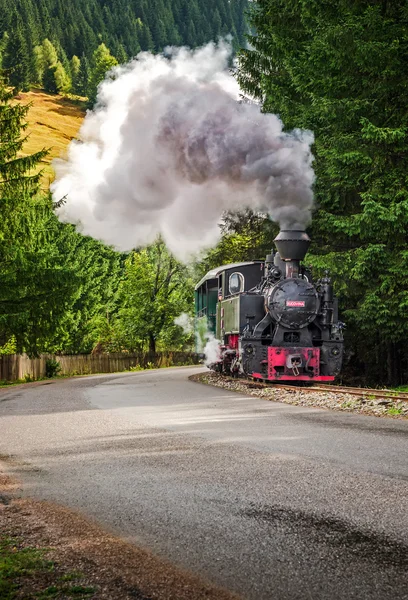 Old steam ,coal  train.Mocanita touristic train  in Europe - Rom