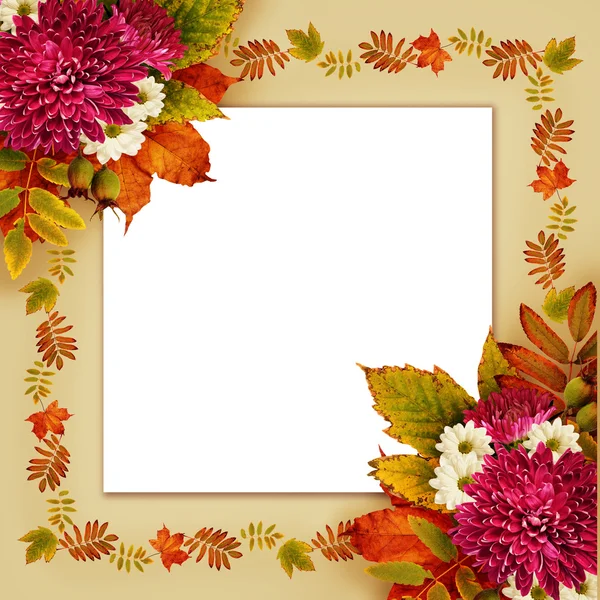 Autumn frame with dry leaves and aster flowers bouquets