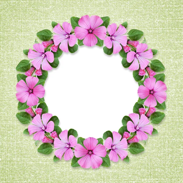 Round frame with bindweed flowers
