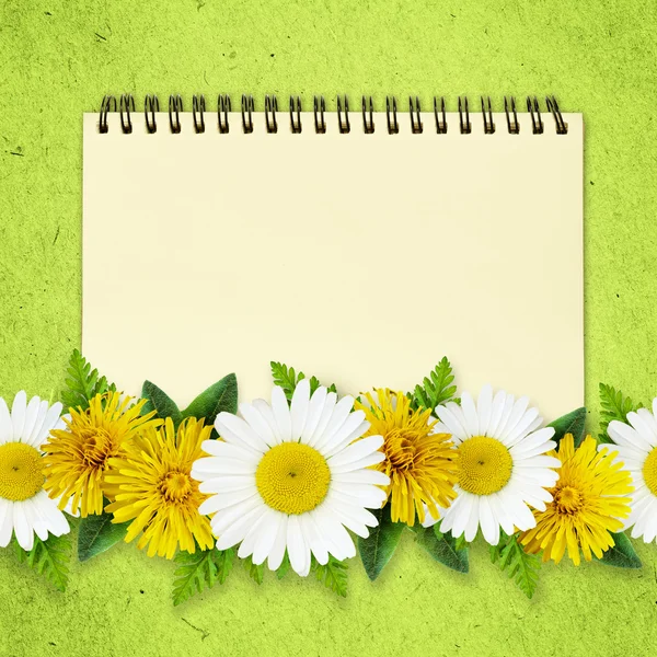 Daisy and dandelion flowers lines and a notepad