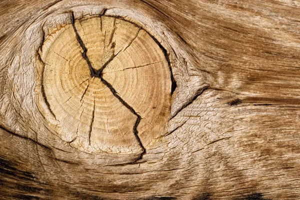 Wooden eye on aged wood