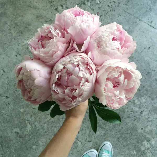 Bouquet of peonies