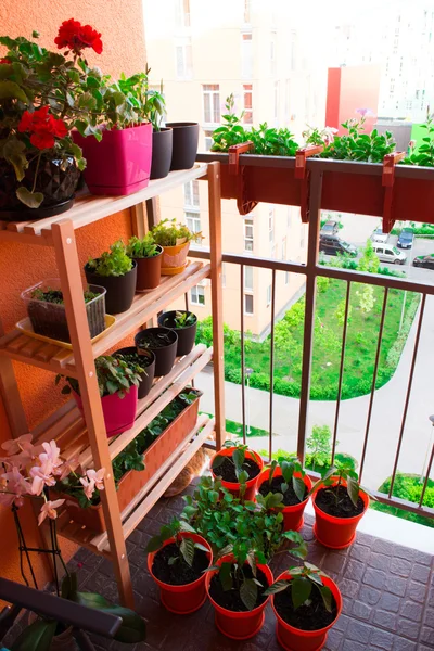 Small herb and flower garden built on small balcony garden