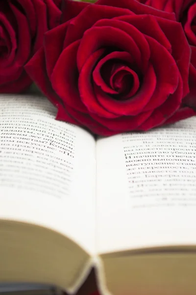 The open book and red roses. Close up