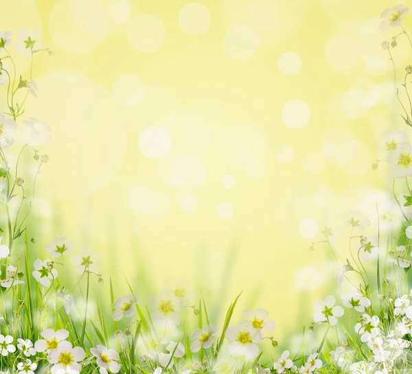 Grass with white flowers