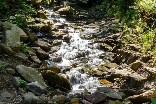 Mountain stream flows between stones