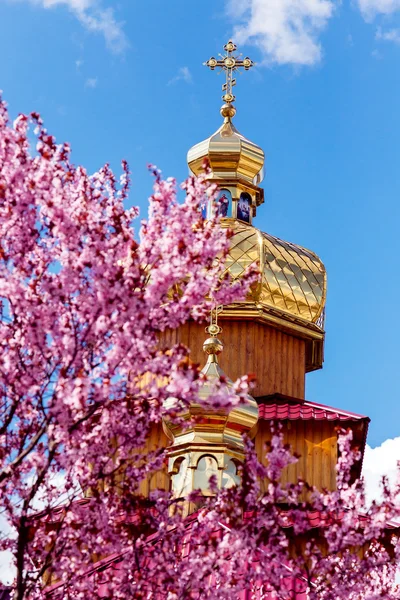 Golden domes of Orthodox church and purple tree