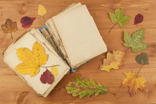 Dead leaves and old book on wooden background. Autumn romance. The book of romantic tales.