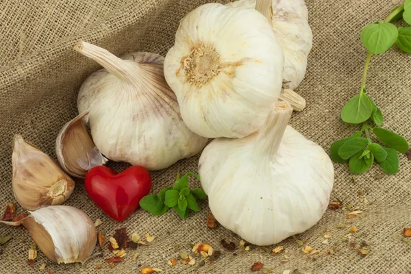 Superfood garlic. Domestic cultivation garlic. Traditional natural cure for blood pressure and flu. Garlic on the kitchen table. garlic bulbs