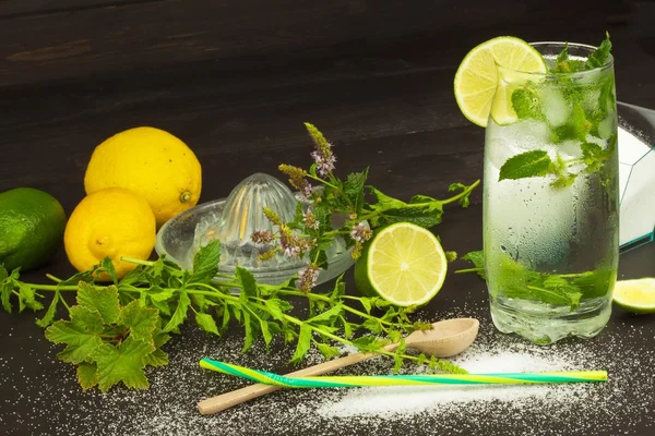 Homemade lemonade with fresh lemon and mint. Cool, refreshing dip in the hot summer.