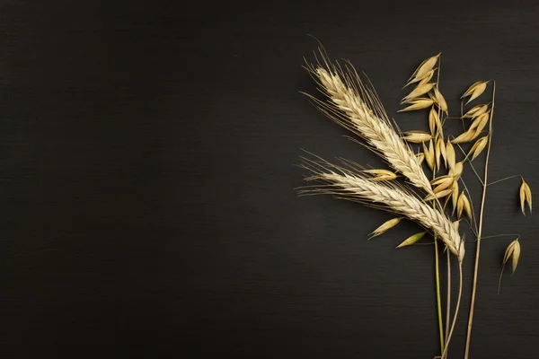 Corn on the dark wooden background. The concept of agriculture and bakery.