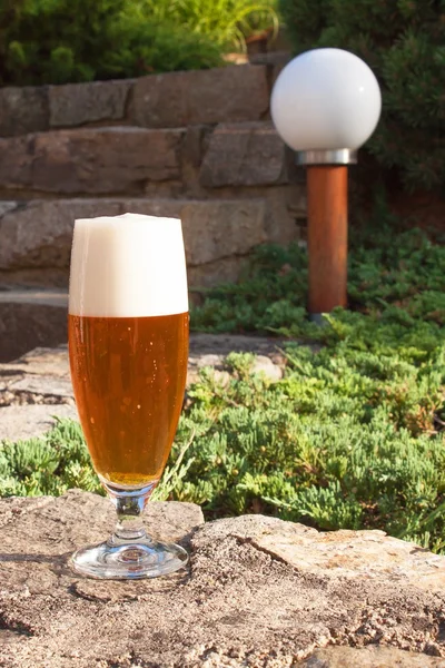 Glass of beer on a stone wall. Garden party. Beer in light of sunset. Family garden party.