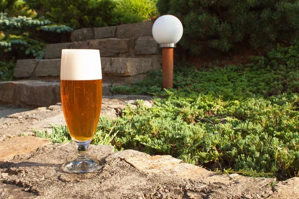Glass of beer on a stone wall. Garden party. Beer in light of sunset. Family garden party.