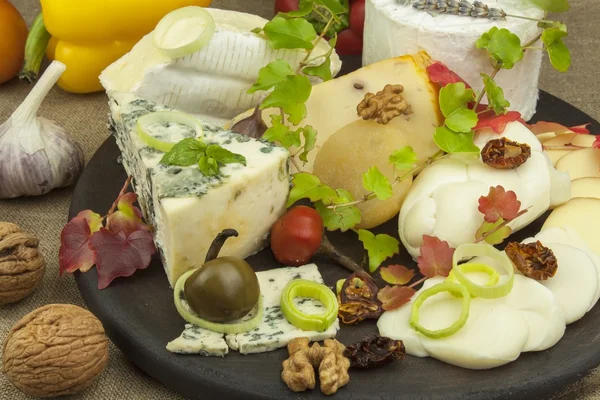 Various types of cheese on a cutting board, made from milk. Dairy products. Moldy and smoked cheese, preparing home-made snacks.