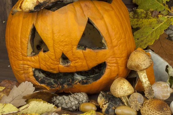 End of Halloween, moldy pumpkin. Remembering Halloween. Head carved from a pumpkin on Halloween. Pumpkin tradition. Place for your text. Invitation for halloween. Scary Halloween pumpkin