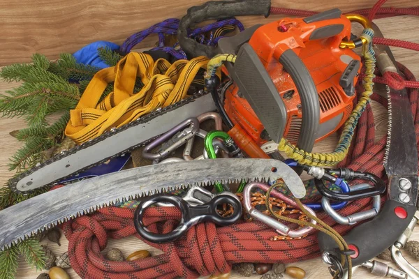 Tools for trimming trees, utility arborists. Chainsaw, rope and carabiners to work lumberjack. Arborist - doctors trees