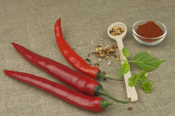 Chili peppers on a canvas background. The ingredients for spicy food. Place for text.