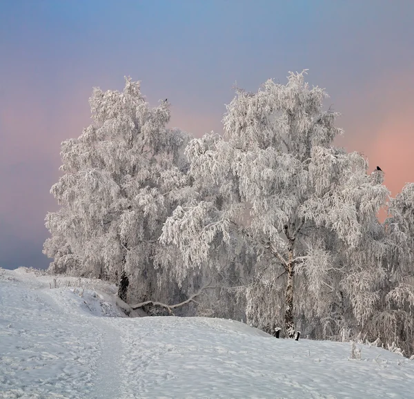 The shore of the Angara River