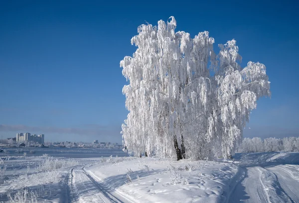 The shore of the Angara River