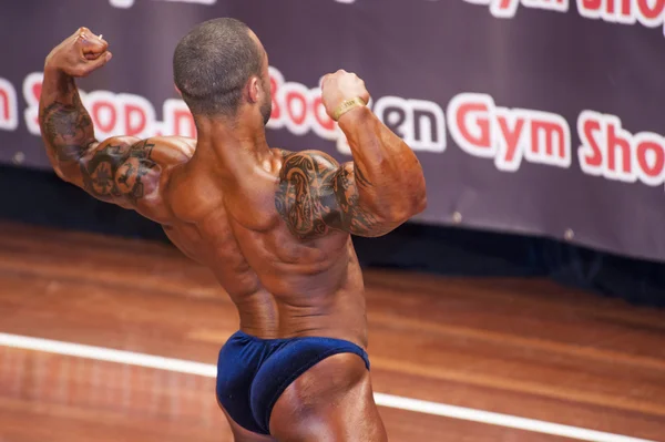 Male bodybuilder Arthur Groenefelt shows his back double biceps