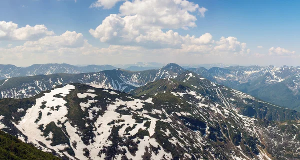 Panorama of the green mountains in spring