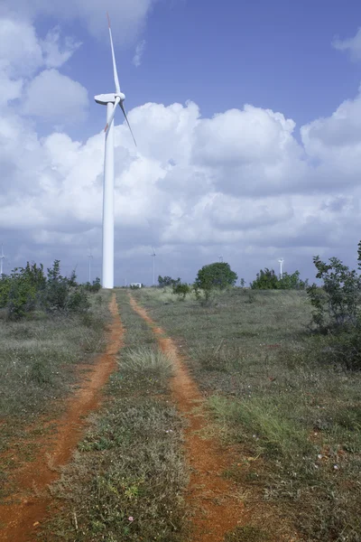 Wind Turbines in Wind Farm