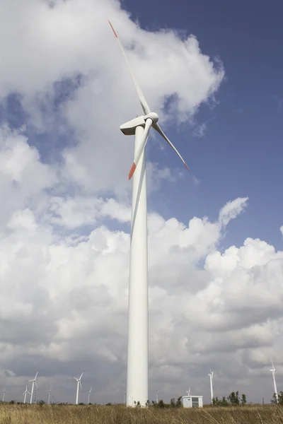 Wind Turbines in Wind Farm
