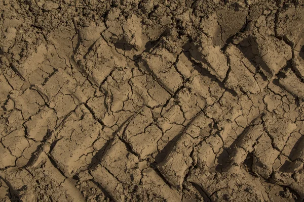 Dirt tracks top view on dry ground. For textures background