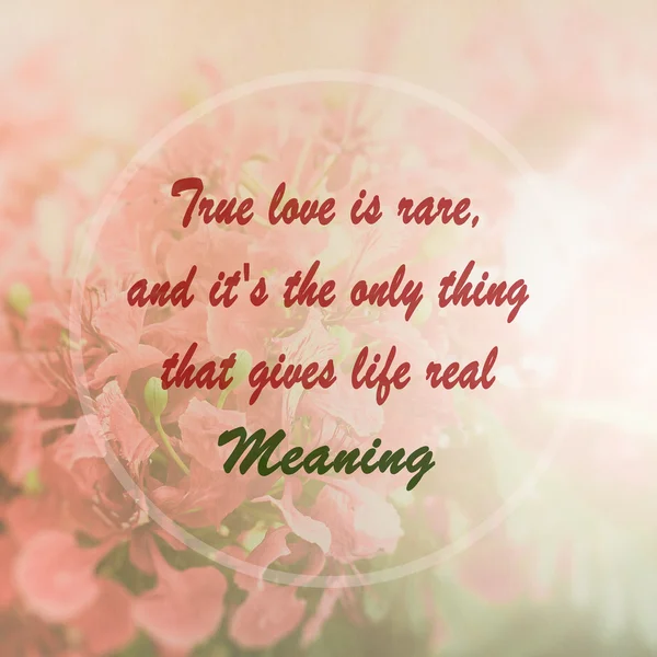 Meaningful quote on pink flower background