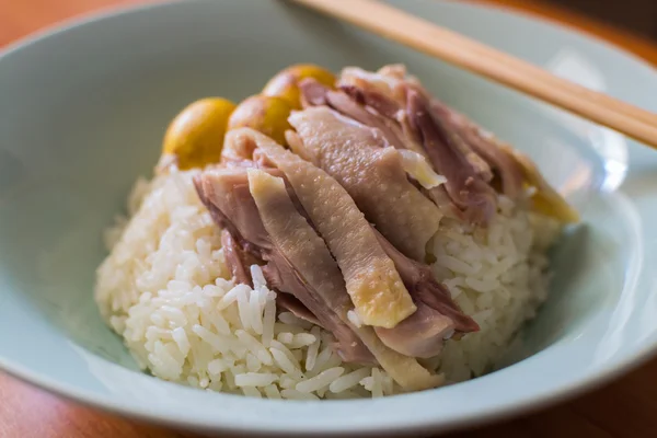 Steam chicken meat with steam rice in a dish