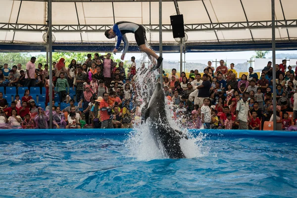 PHUKET THAILAND - JAN 9, 2016 : Performance of clever dolphins w