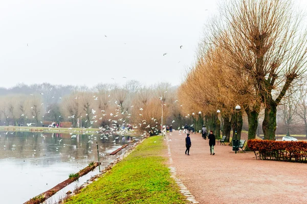 People enjoy in calming nature and beautiful winter scenes around the lake in the center of Malmo in Sweden