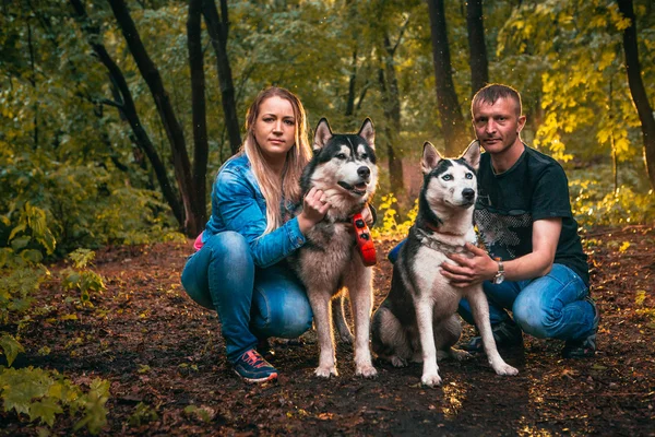 Family with husky dogs in the forest