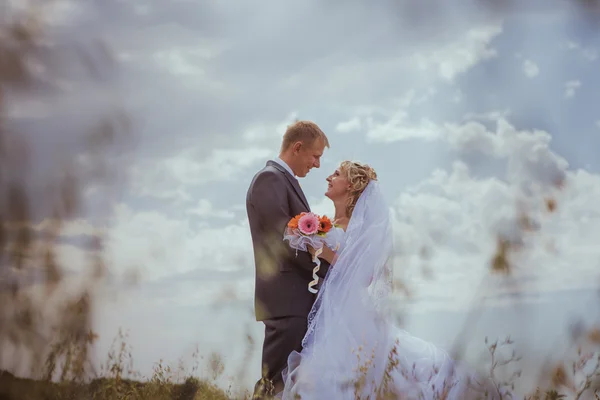 Beautiful bride and groom standing in grass and kissing. Wedding couple fashion shoot.