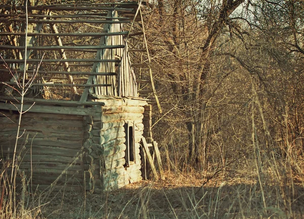 Abandoned and ruined house in an overgrown forest .