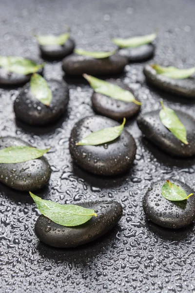 Black stones and green leaves, covered with water drops