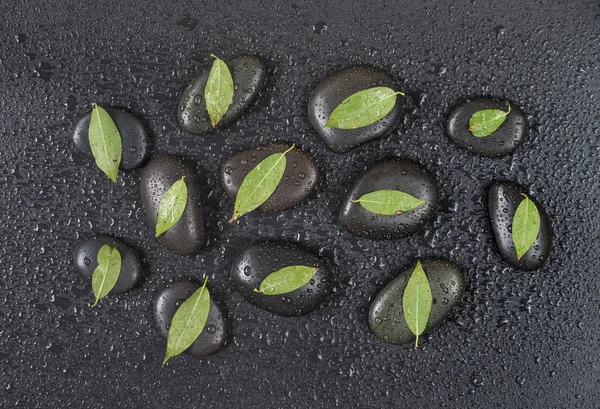 Black stones and green leaves, covered with water drops