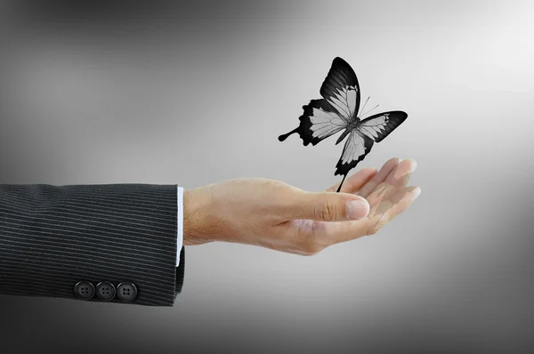 Hand releasing a butterfly  - freedom concept