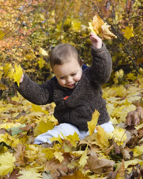 Child with autumn leaves