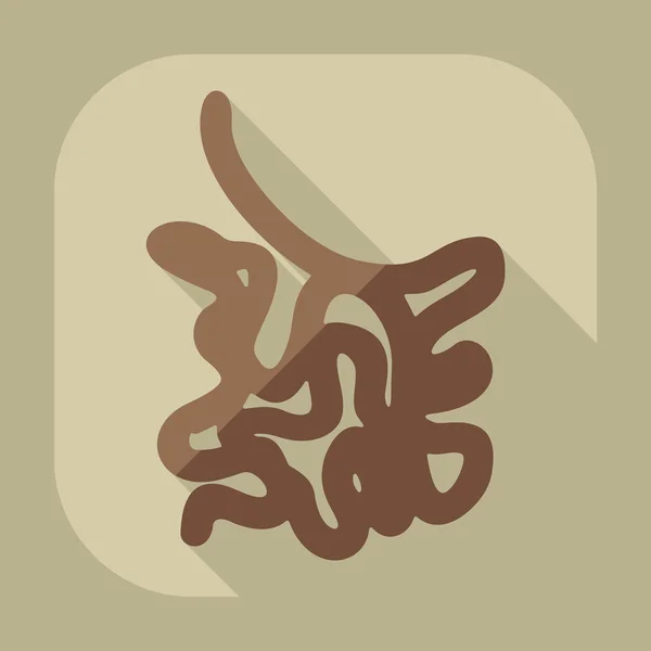Flat modern design with shadow icons small intestine