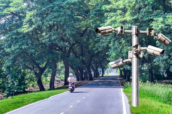 Security camera for monitring a road with shadow of tree tunnel.