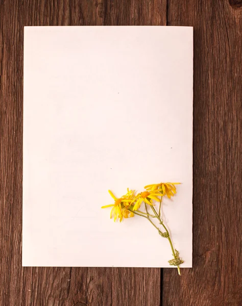 Sheet of paper with flowers on a wooden background