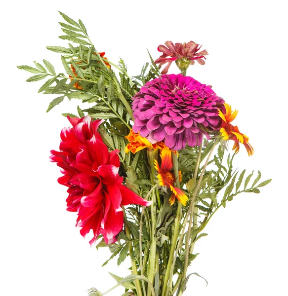 Bouquet of garden flowers isolated on white background