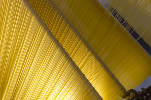 Spaghetti - Italian pasta factory processing line